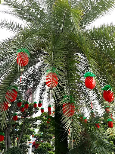 Creative Garden Decoration Ideas: Transforming Spaces with Date Palm and Festive Lanterns